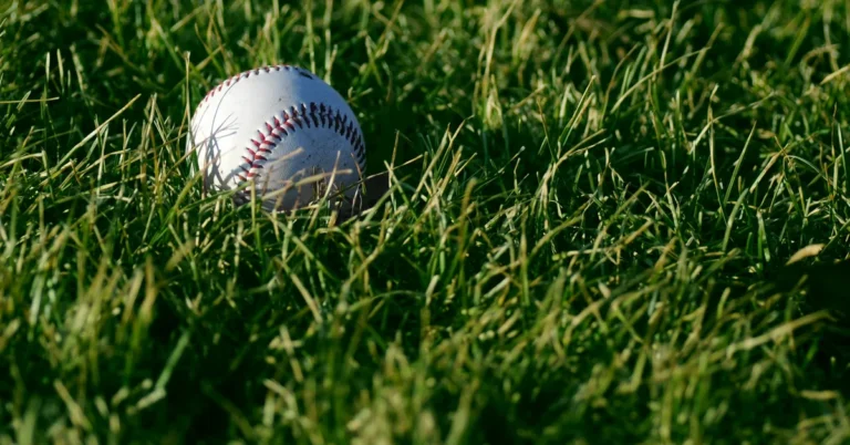 Pelota de béisbol entre la hierba de un campo
